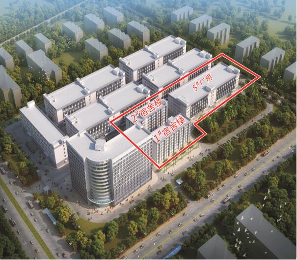 1591168308235297.jpg 華豐.jpg