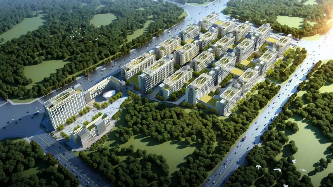 1649646743782231.jpg 3.jpg